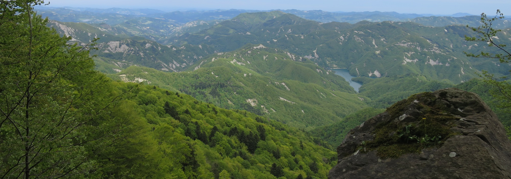 Le Foreste patrimonio dell'Umanità  Parco Nazionale  Le Foreste patrimonio dell'Umanità  Parco Nazionale