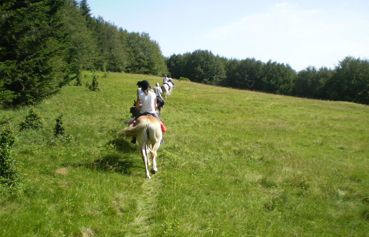 Passeggiata a cavallo