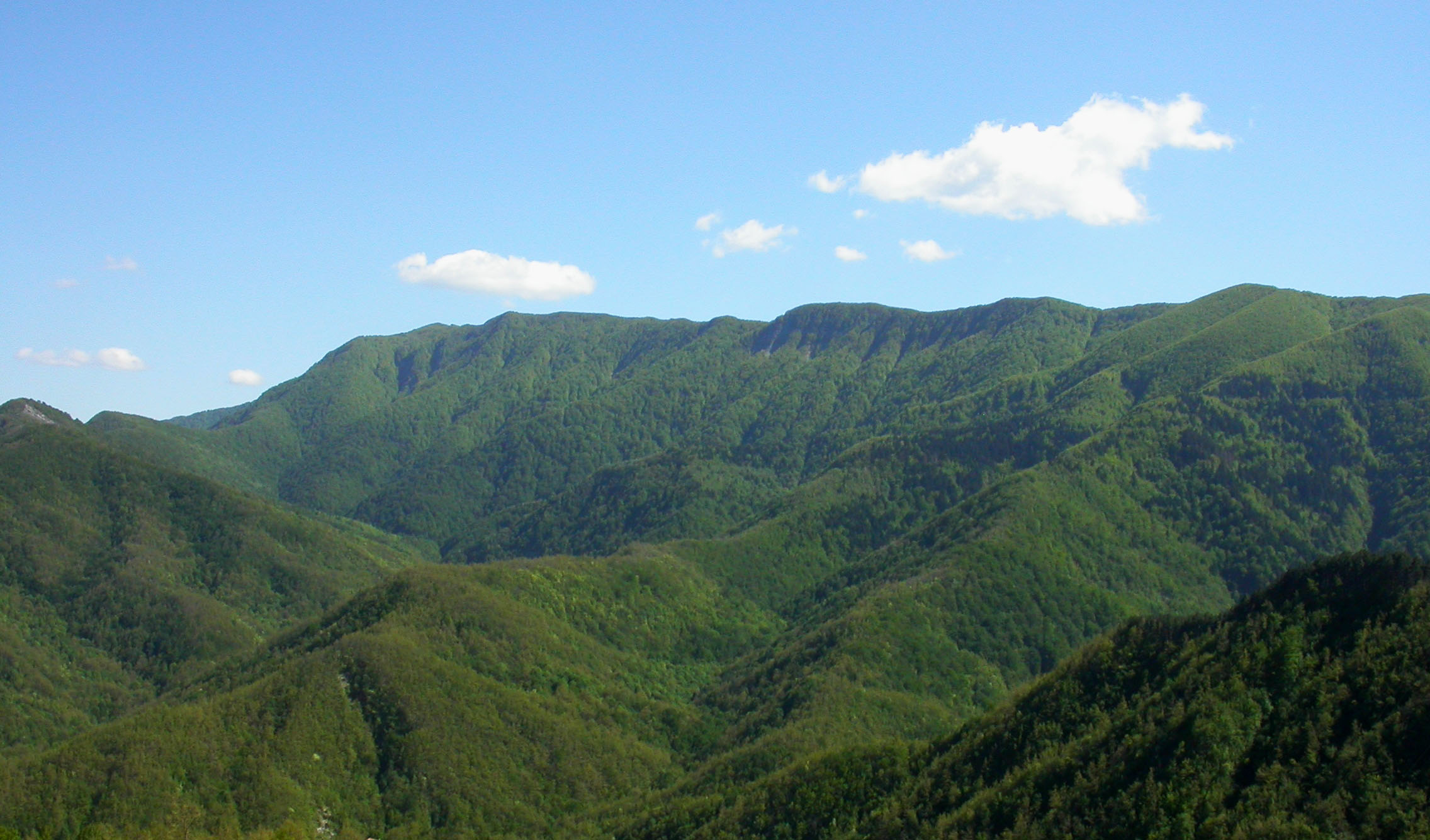 L'Area Protetta Parco Nazionale Foreste Casentinesi L'Area Protetta Parco Nazionale Foreste Casentinesi