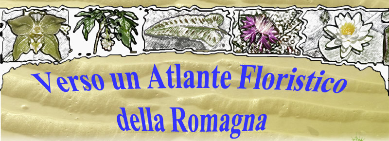 atlante flora romagna
