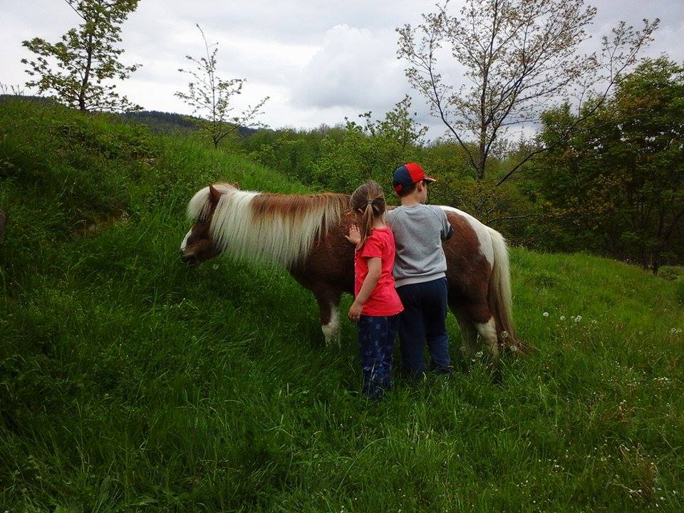 Gita con i pony