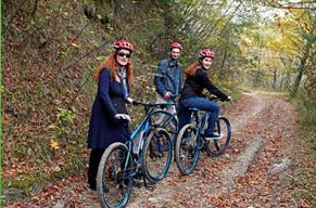 ebike ebike