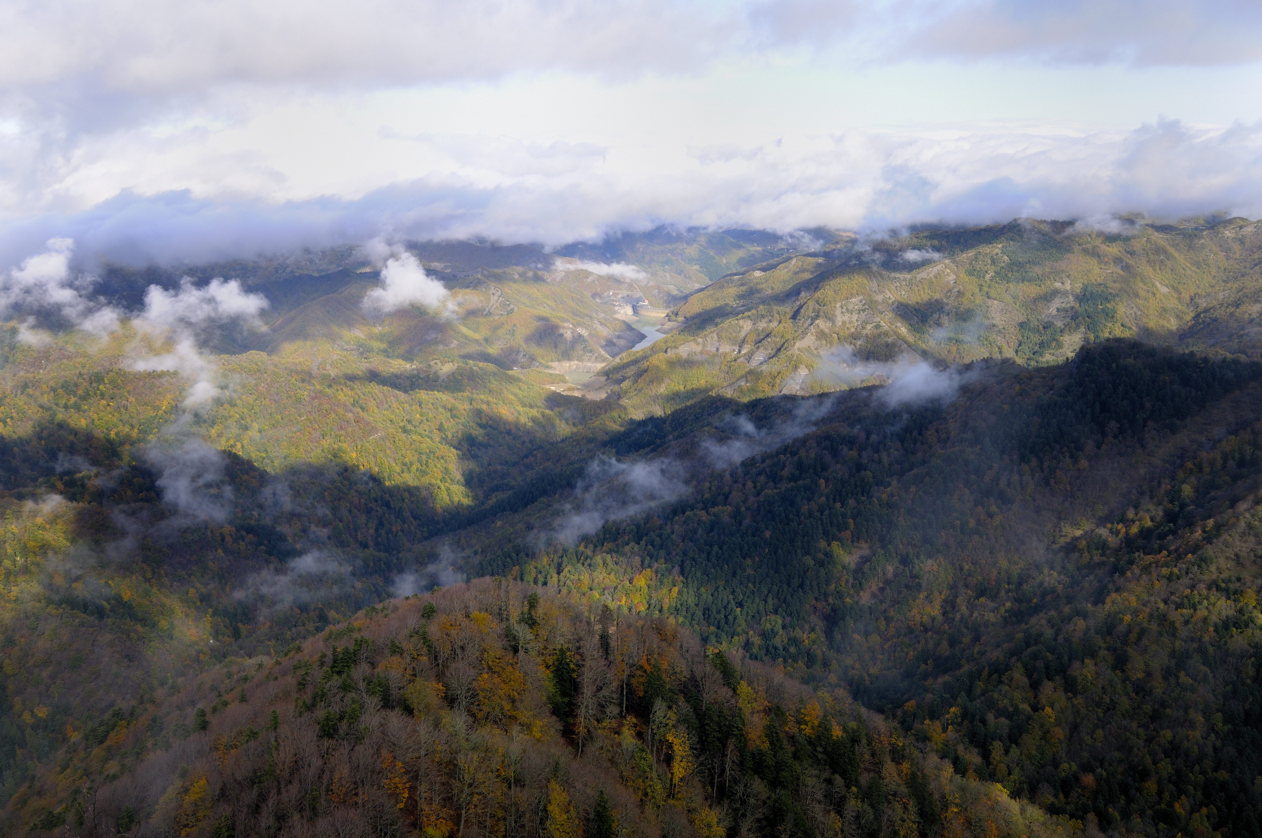 Paesaggio (F. Liverani)