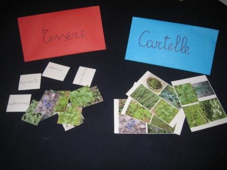 memoria.premilcuore1.jpg