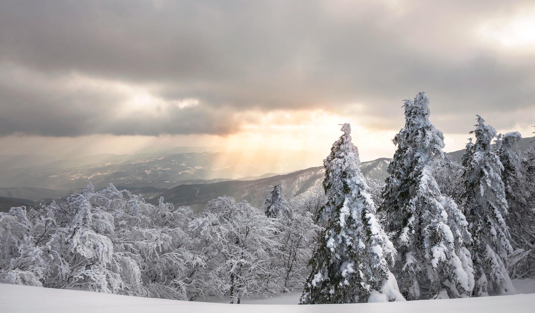 Inverno Parco Foreste Casentinesi