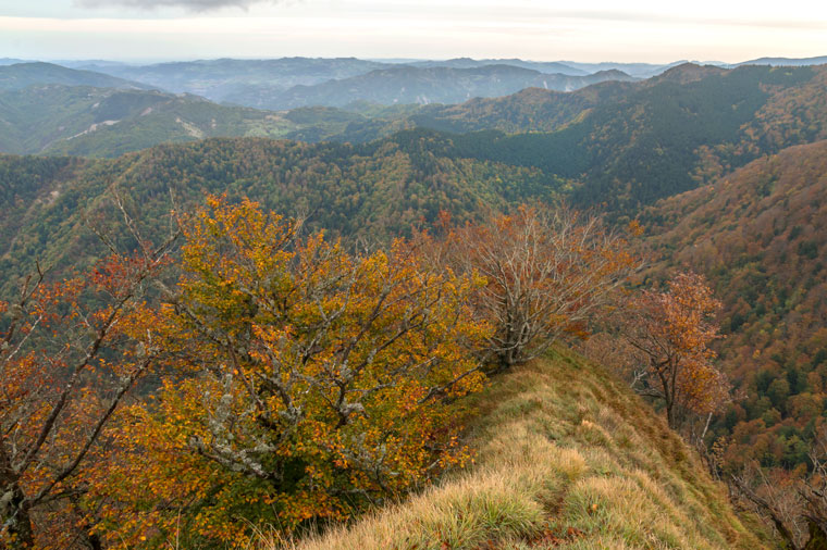 Monte Penna