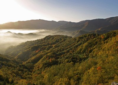 Paesaggio autunnale (G. Giacomini)