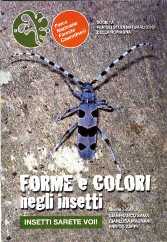 Forme e colori negli insetti