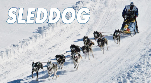 sleddog castagno