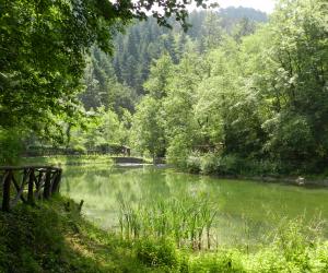 Valbonella (Daniela Pretolani)