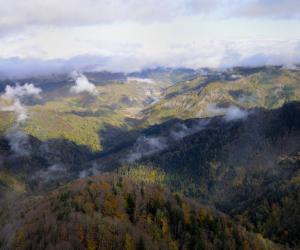 Paesaggio (F. Liverani)