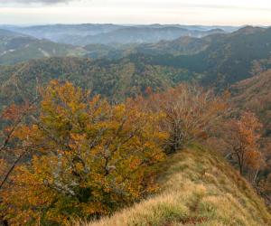 Monte Penna