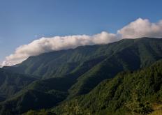 Foreste Casentinesi (G. Giacomini)