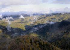 Paesaggio (F. Liverani)