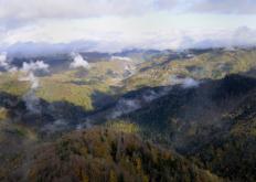 Paesaggio (F. Liverani)