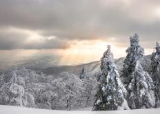 Inverno Parco Foreste Casentinesi