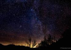starry