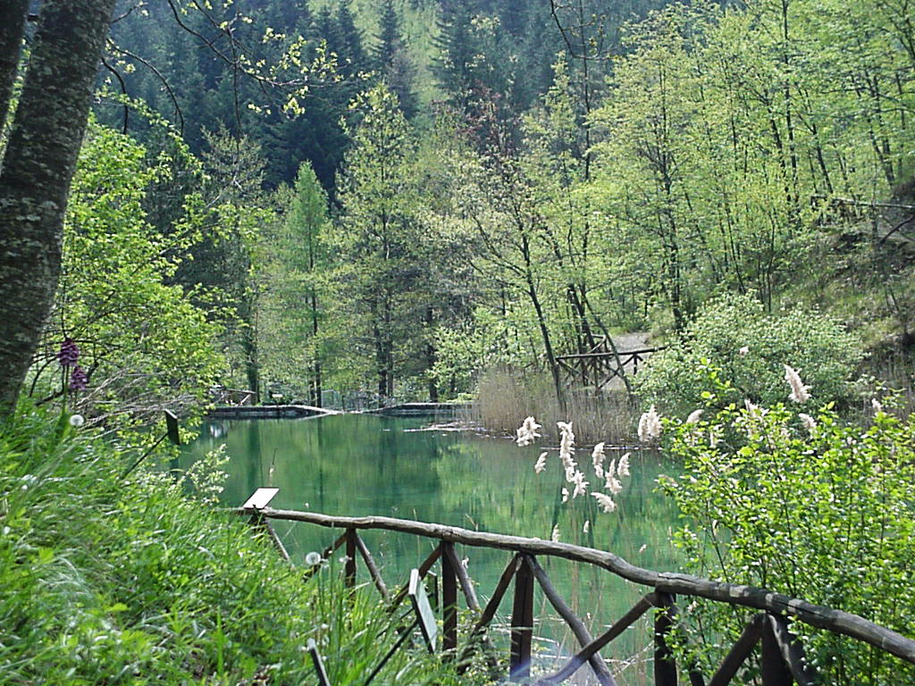 valbonella lago matteo